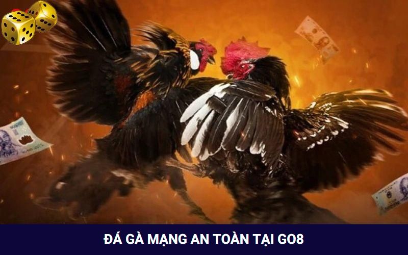 Đá Gà Mạng Là Gì? Tham Gia Chơi Có Bị Rủi Ro Hay Không? - SLOT817.SBS