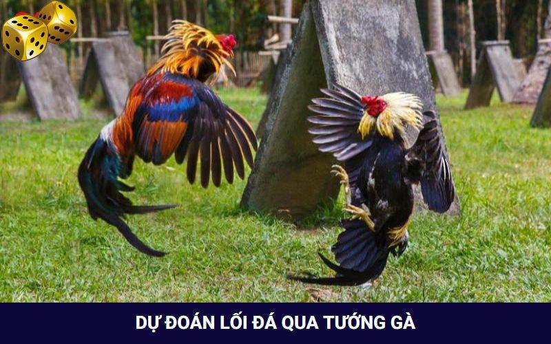 Hướng Dẫn Xem Tướng Gà Chọi Khỏe Của Sư Kê Siêu “Chuẩn” - SLOT817.SBS