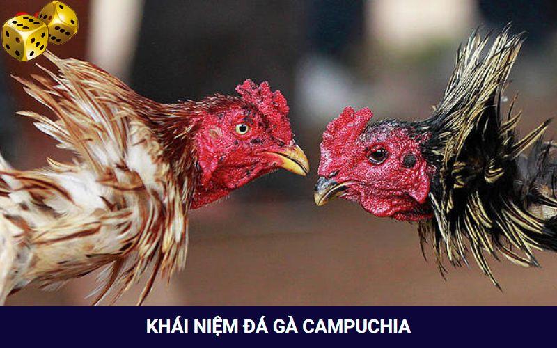 Hình Thức Đá Gà Campuchia Thưởng “Khủng” Tại Nhà Cái Go8 - SLOT817.SBS