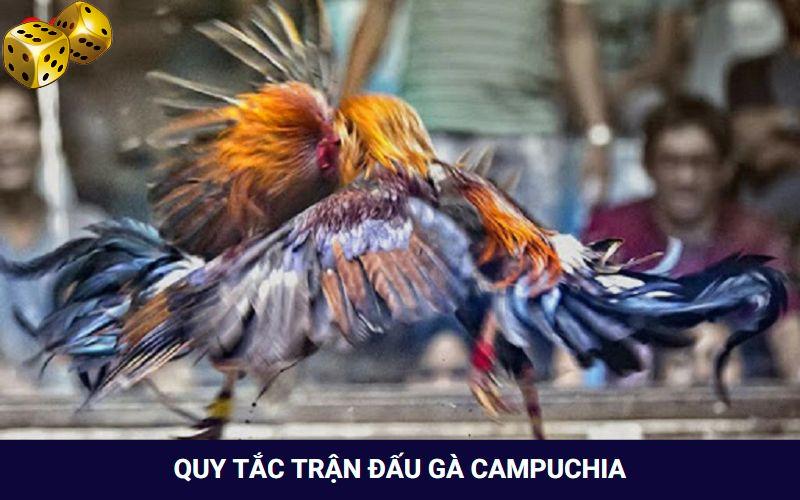 Hình Thức Đá Gà Campuchia Thưởng “Khủng” Tại Nhà Cái Go8 - SLOT817.SBS