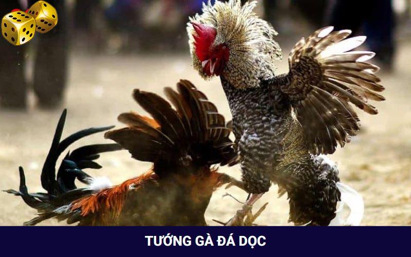 Hướng Dẫn Xem Tướng Gà Chọi Khỏe Của Sư Kê Siêu “Chuẩn” - SLOT817.SBS