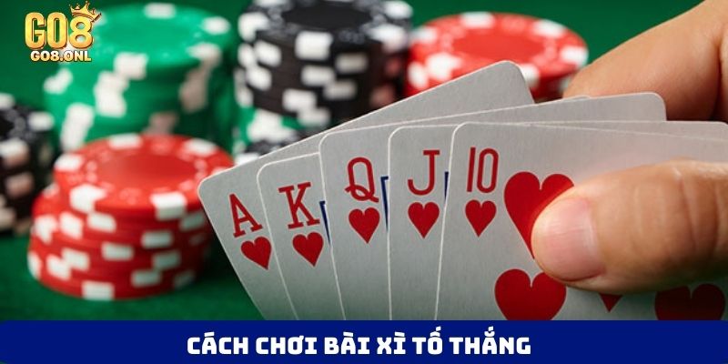 Xì Tố Là Gì? Bí Quyết Hiểu Luật Và Chơi Xì Tố Hiệu Quả - SLOT817.SBS