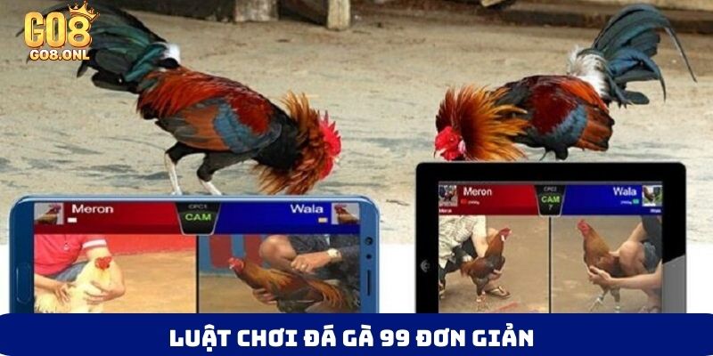 Đá Gà 99 Là Gì? Bí Mật Thu Hút Người Chơi Muốn Khám Phá - SLOT817.SBS