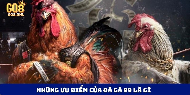 Đá Gà 99 Là Gì? Bí Mật Thu Hút Người Chơi Muốn Khám Phá - SLOT817.SBS