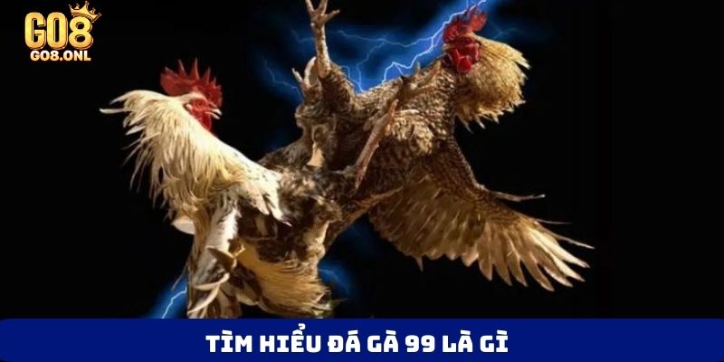 Đá Gà 99 Là Gì? Bí Mật Thu Hút Người Chơi Muốn Khám Phá - SLOT817.SBS