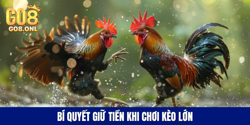 Trận Gà 50 Tỷ - Bí Mật Đằng Sau Con Số Kỷ Lục Trên Sàn Đấu - SLOT817.SBS